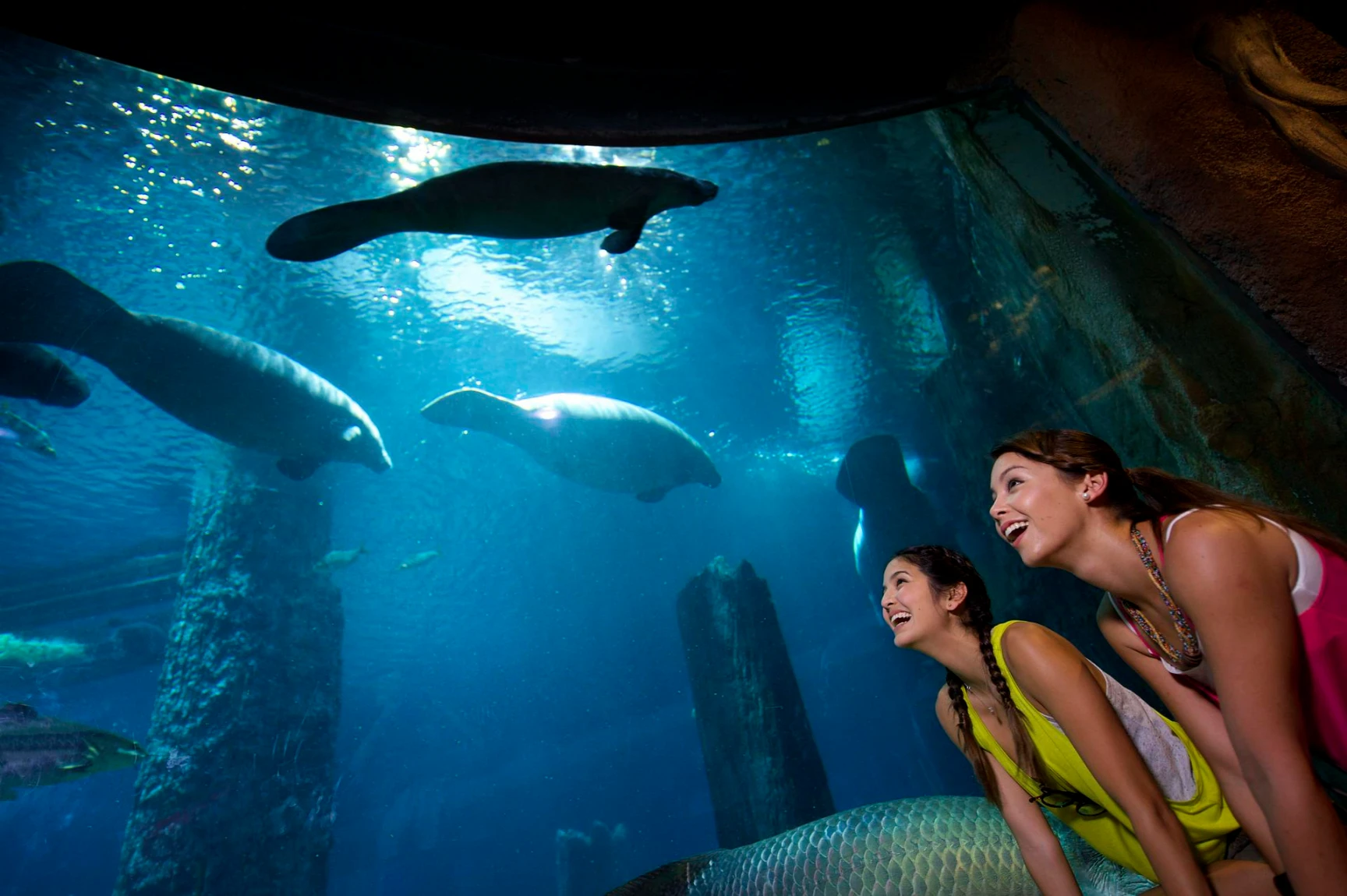 Singapore, Cruise & Malaysia Discovery hero image