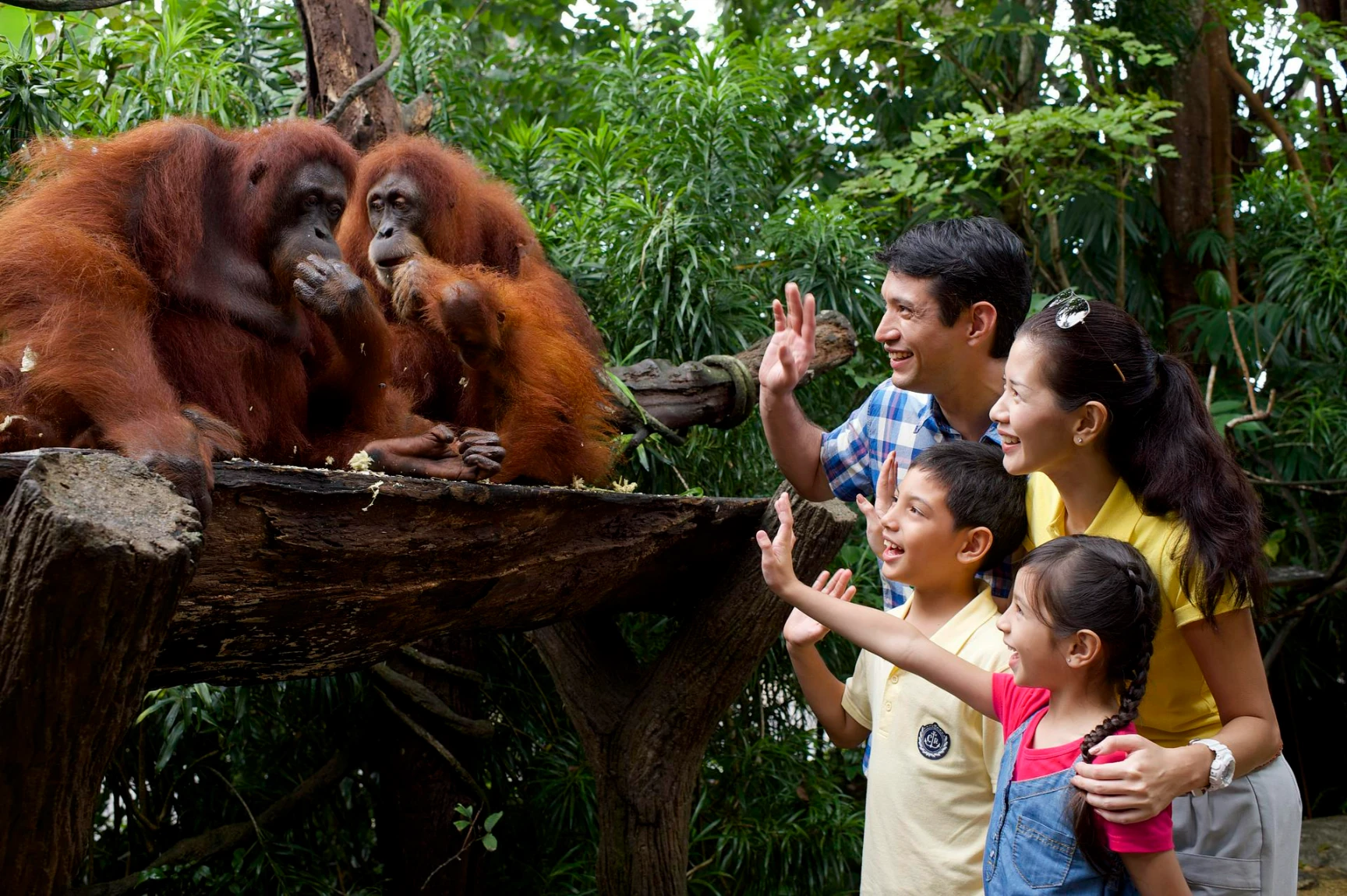 Enchanting Singapore & Kuala Lumpur hero image